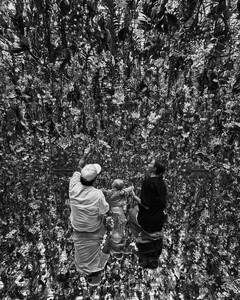 [2024.06.17] josephineskriver_448242405_511763214506881_8129366870094289033_n.jpg