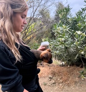 [2024.06.06] sarasampaio_447964412_18444120643058288_1200676624683287167_n.jpg