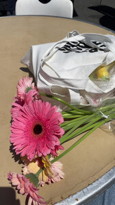 Alexis Bumgarner - TikTok 21.jpg