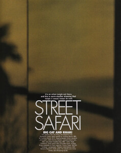 street_safari_01.thumb.jpg.b7ecf5ce45107bb2467f01a629ba9a3a.jpg