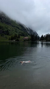 [2024.07.13] carmellarose_FE492334231D882CCBD94DFDE145BEB9_video_dashinit.jpg