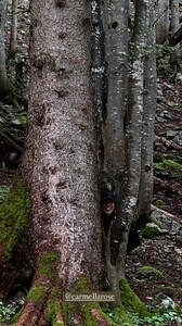 [2024.07.13] megbatphoto_450109330_1008840714191591_4709112955627823812_n.jpg