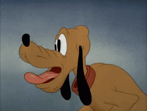 dog-pluto-drooling-zimsxa3kjgeiyu2n.thumb.gif.af44691e82303b9e9af95668cb538083.gif