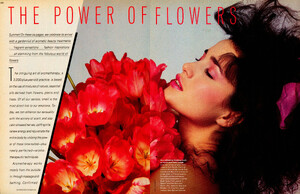 power_flowers_01.thumb.jpg.1dfc92bc90b3e53d27c2f29bf1b444ba.jpg