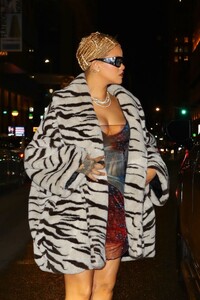 rihanna-stuns-in-chic-zebra-striped-ensemble-for-nyc-night-out-2.jpg