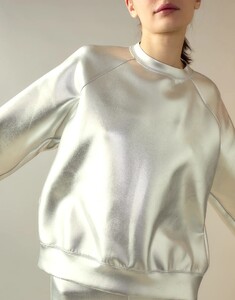 silverhoodie5_7049899f-1d09-46bb-a72a-52121bb142dd.jpg