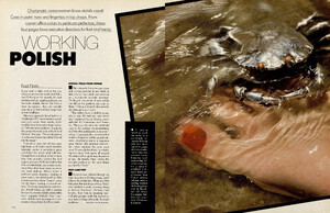 working_polish_01.thumb.jpg.acd9a3f34425db79a201648d7bcc987a.jpg