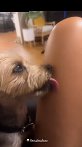 [2024.08.18] carmellarose_A941028E663D5A71944950EE1BFA9084_video_dashinit.jpg