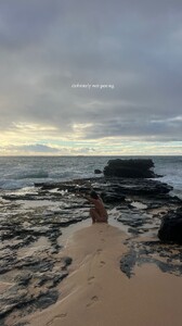 [2024.08.21] carmellarose_456354488_2528746650649219_4359497422215416470_n.jpg