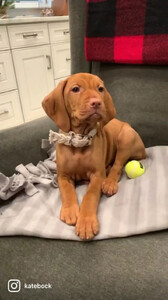 Kate Bock - TikTok 20.jpg