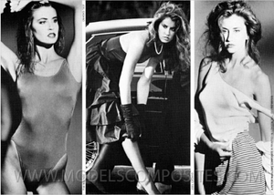 Tracy Toon cards (3).png