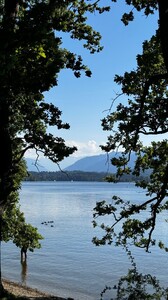 nicola stories 2024-08-12 00.33 _1_1 455184442_988163116443505_4996747673267001505_n.jpg