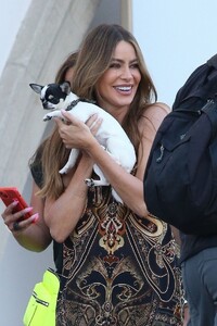 sofia-vergara-out-in-pasadena-08-14-2024-1.jpg