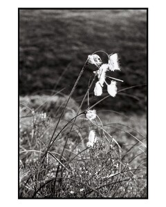 2024-09-04 13.39.55 3449798030851440140.jpg