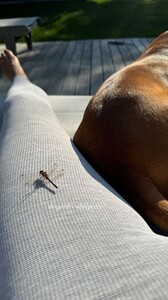 [2024.08.31] katelove_3446469163608185872.jpg