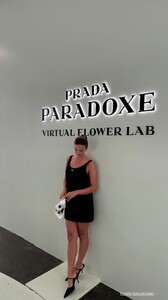 [2024.09.05] carmellarose_3450760663448253740.jpg