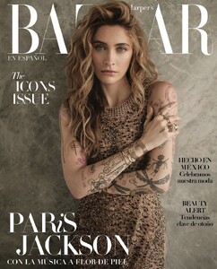 Bazaar Mexico 924.jpg