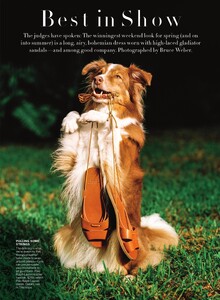 best_in_show_02.thumb.jpeg.ca69a81d1dcbfc5d1d4fca6d79cf47db.jpeg