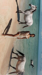 france.and.jesse - 3458678737431337843.jpg