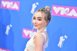 18vmas-carpet_009.jpg