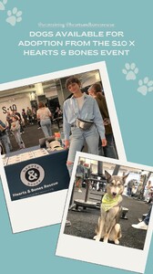 [2024.09.30] tateandtaylor_3468754842473022780.jpg