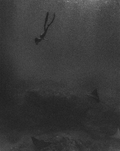 [2024.10.26] carmellarose_464772253_1240414707280146_5420155770540090614_n.jpg