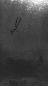 [2024.10.26] carmellarose_s464681135_445425298570556_891571611750203916_n.jpg