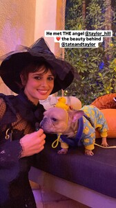 [2024.10.27] tateandtaylor_goodboy.emmett_464789507_17867356392231441_1038568487455644243_n.jpg