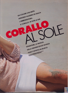 SuNorgren-gioiaIT-no31-august0387 (2).png