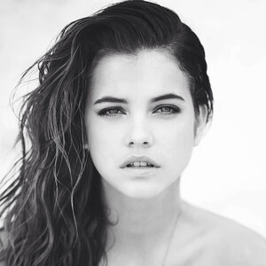 barbs [2014.10.24] davidbellemere_11376258_1457630774537286_1798293531_n.jpg