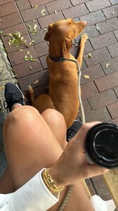 [2024.10.31] katelove_465079853_3746159909047542_2557592253954158136_n.jpg