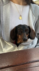 [2024.11.16] danielamelchior_466663823_1073856567482973_5460453883890300934_n.jpg