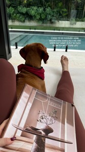 [2024.11.16] katelove_467352366_575275058321792_2816962613734797593_n.jpg