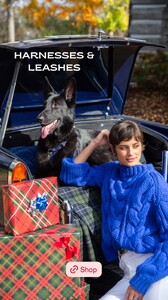 [2024.11.26] tateandtaylor_468480700_18063439201809073_4691258517874961403_n.jpg