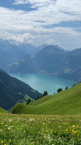 Carmella Rose - TikTok 91.jpg