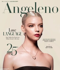 Modern Luxury Angelino 1124.jpg