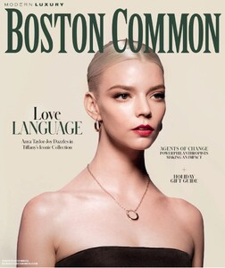 Modern Luxury Boston Commons 1124.jpg