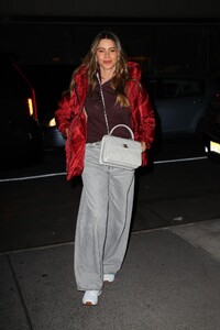 sofia-vergara-night-out-in-new-york-11-18-2024-2.jpg