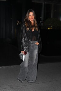 sofia-vergara-out-for-dinner-in-new-york-city-11-17-2024-6.jpg