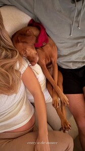 [2024.12.19] katelove_3526876439300758622.jpg