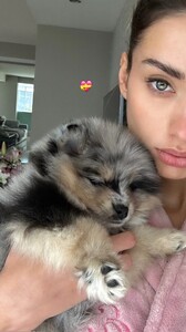 [2024.12.23] yelikova_471408095_3903001623247462_1117318180174196777_n.jpg