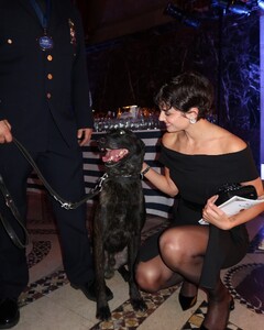 [2024.12.12] taylor_hill_470318501_18479841067024492_8581607660650079516_n.jpg