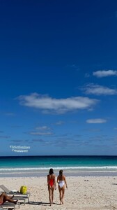 [2025.01.10] msgigiparis_473059288_518755751207584_4192322741452486274_n.jpg