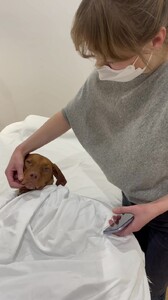 Kate Bock - TikTok 50.jpg