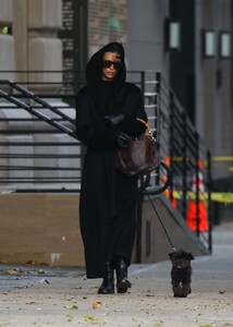irina-shayk-takes-chic-stroll-with-canine-companion-12-05-2024-1.jpg