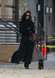 irina-shayk-takes-chic-stroll-with-canine-companion-12-05-2024-3.jpg