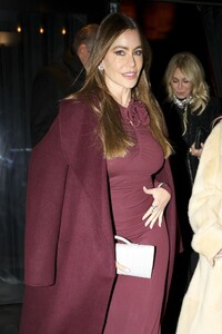 sofia-vergara-stuns-in-burgundy-gown-post-birthday-dinner-12.28.2024-2.jpg