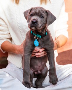 [2025.02.11] elizabethcturner_478576002_18484949911052750_6689347205673093333_n.jpg