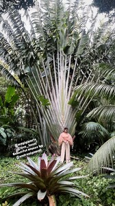 [2025.02.23] msgigiparis-amystuartgordon_3574488840972049020.jpg