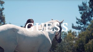 Screenshot 2025-02-03 170241.jpg